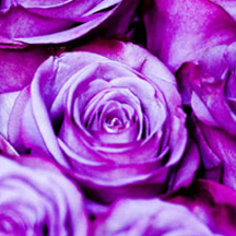 攻击网站在线工具